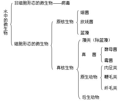 5.1微生物的类群,营养,代谢和生长