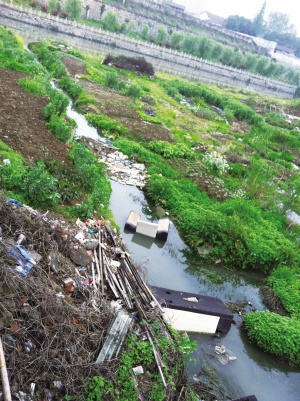 镇江古运河河道垃圾堆积